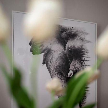 Apartment Aloha تريبينيي المظهر الخارجي الصورة
